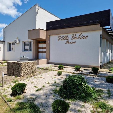 Villa Gabino Balatonberény エクステリア 写真