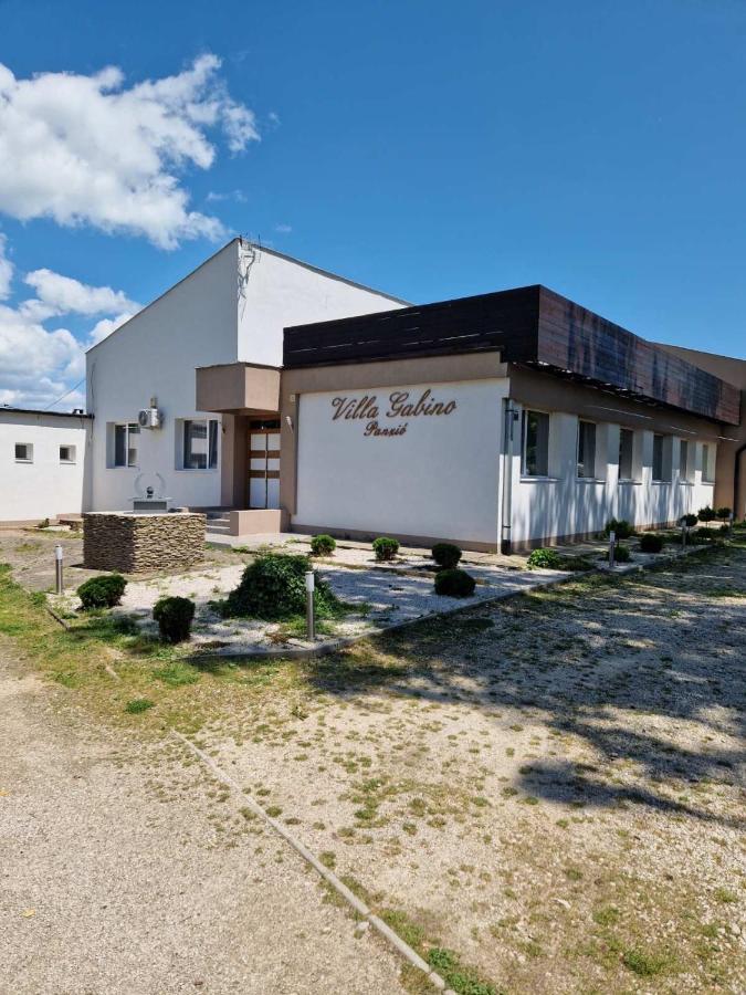 Villa Gabino Balatonberény エクステリア 写真