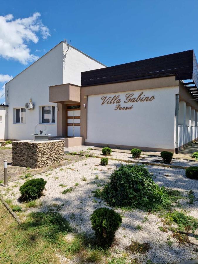 Villa Gabino Balatonberény エクステリア 写真